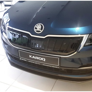 Зимний экран решетки радиатора (глянец) Skoda Karoq (2020-) бренд –  главное фото